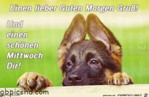 ein bild furs herz mittwoch jpg kommentar guten morgen