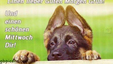 ᐅ ein bild furs herz mittwoch jpg kommentar guten morgen - Mittwoch GB Pics
