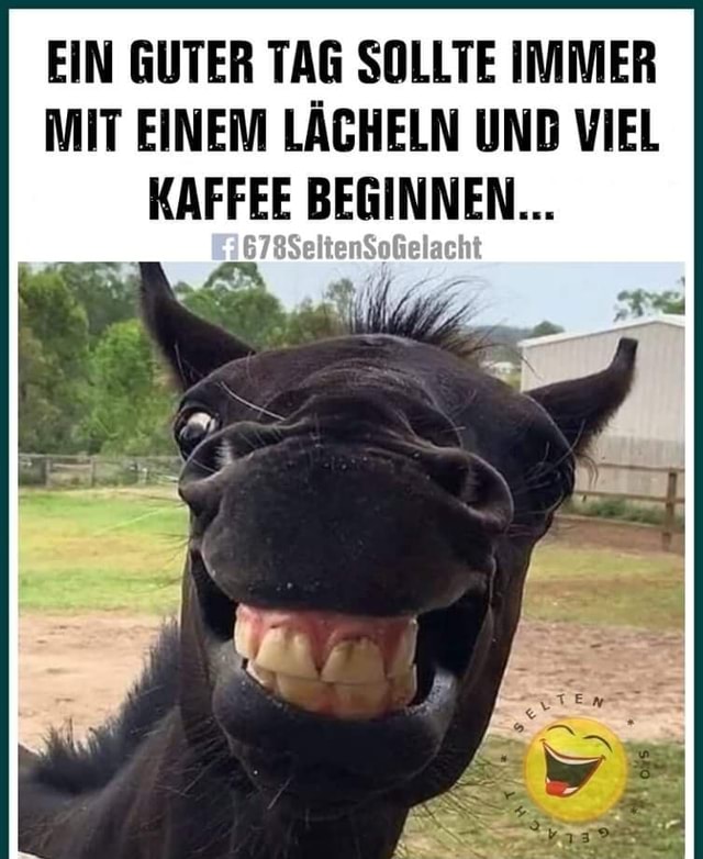 Ein Guter Tag Morgen