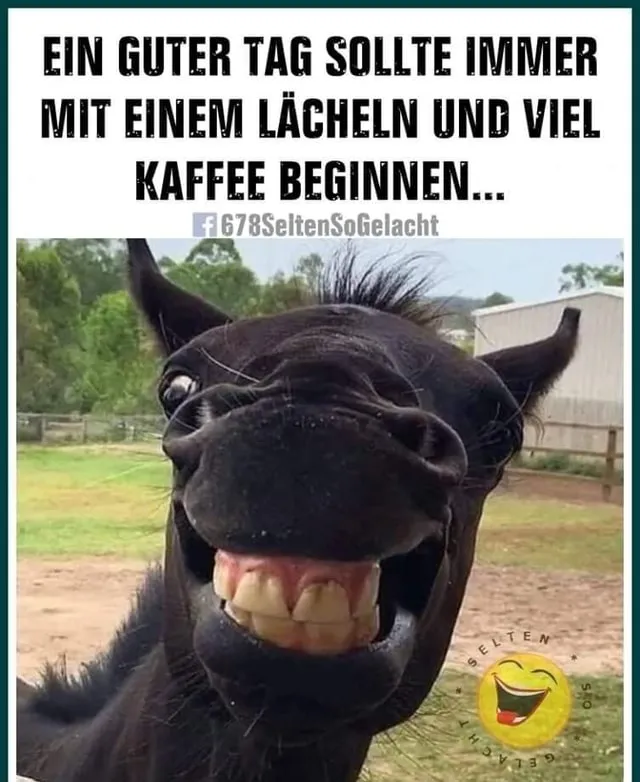 Ein Pferd mit breitem Grinsen steht vor einem Stall. Text über Kaffee und gute Tage.