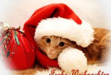ᐅ ein lustiges suses weihanchtsbild - GB Pics