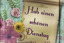 ᐅ einen schönen dienstag bilder - Nachmittag GB Pics