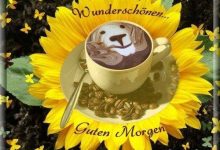 ᐅ einen wunderschönen guten morgen - Guten Morgen GB Pics