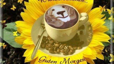 ᐅ einen wunderschönen guten morgen - Guten Morgen GB Pics