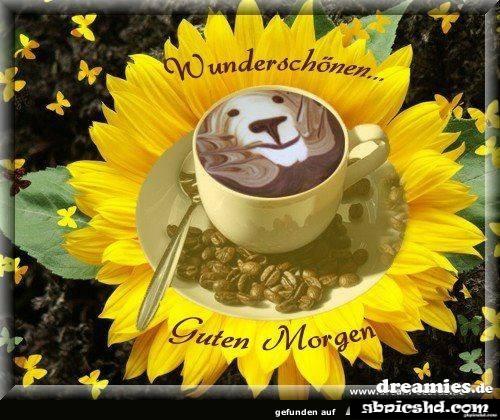 einen wunderschönen guten morgen