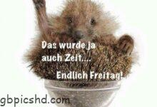 ᐅ endlich freitag bilder endlichfreitagbilder freitag 2 - GB Pics