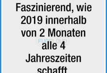 ᐅ Faszinierend - Freitag GB Pics