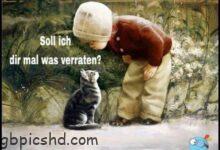 ᐅ freitag bilder lustig - Gute Nacht GB Pics
