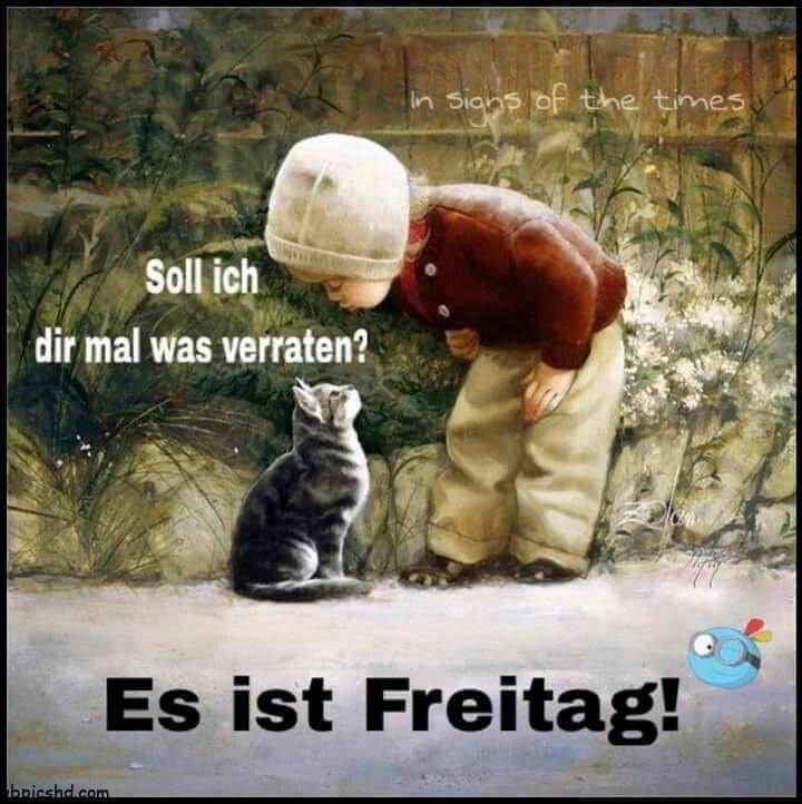 freitag bilder lustig