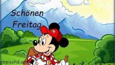 ᐅ freitagsbilder - Freitag GB Pics