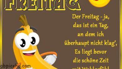 ᐅ freitagssprüche - Freitag GB Pics