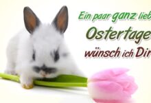 ᐅ frohe ostern bilder - Feste / Anlässe GB Pics