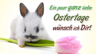 ᐅ frohe ostern bilder - Ostern GB Pics