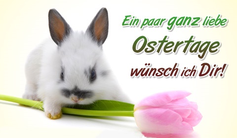 frohe ostern bilder