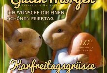 ᐅ frohe ostern lustiges bild - Feste / Anlässe GB Pics