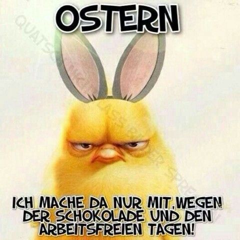 Frohe ostern lustiges bild 011
