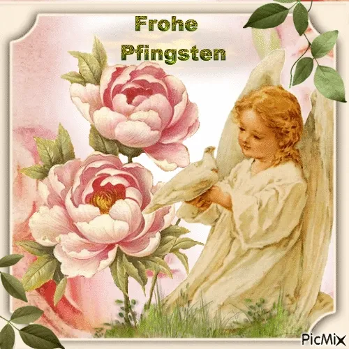 Ein Engel mit einer Taube neben rosa Pfingstrosen. Text: Frohe Pfingsten.
