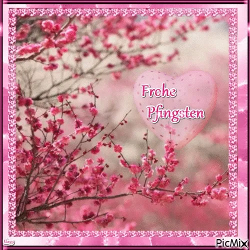 Blühende Kirschblüten mit dem Text „Frohe Pfingsten“ in einem herzförmigen Rahmen.