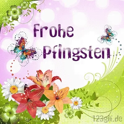 Bunte Blumen und Schmetterlinge mit dem Text "Frohe Pfingsten".