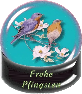 Zwei Vögel auf einem Ast mit Blumen, darunter steht "Frohe Pfingsten".