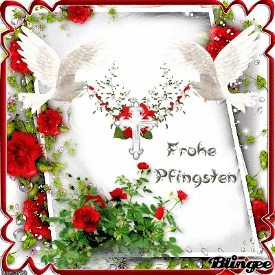 Zwei Tauben fliegen über Rosen und einer weißen Blume mit dem Text "Frohe Pfingsten".