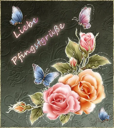 Wunderschöne Rosen mit Schmetterlingen und dem Text "Liebe Pfingstgrüße".