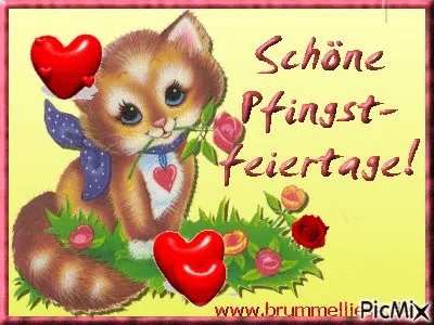 Eine cartoonartige Katze mit Herz und Blumen, text "Schöne Pfingstfeiertage!"
