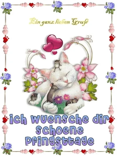 Eine weiße Katze umgeben von Blumen und Herzen, mit dem Text "Frohe Pfingstage".