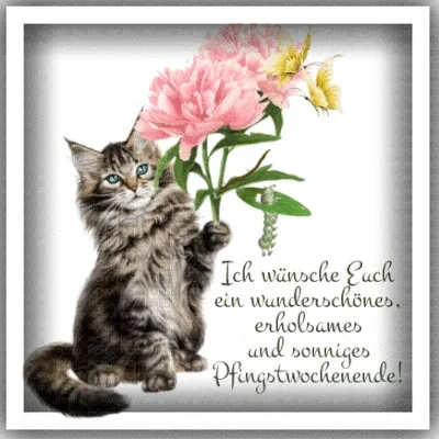 Eine Katze hält einen Blumenstrauß mit Pfingstrosen und anderen Blumen.