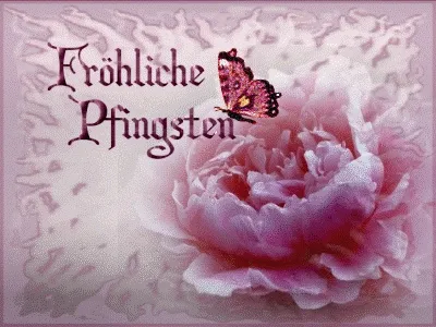 Rosa Fliederblüte mit einem Schmetterling und dem Schriftzug "Fröhliche Pfingsten".