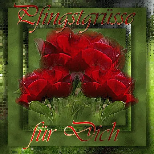 Rote Rosen mit dem Text „Pfingstgrüße für Dich“ auf grünem Hintergrund.
