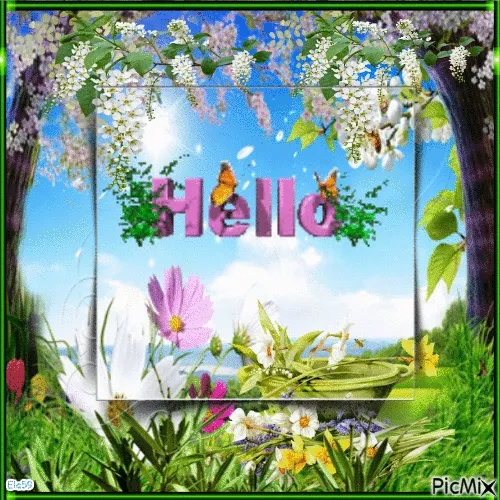 Bunte Blumenwiese mit dem Wort „Hello“ und Schmetterlingen im Hintergrund.
