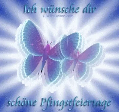 Zwei transparente Schmetterlinge mit dem Text „schöne Pfingstfeiertage“ im Hintergrund.