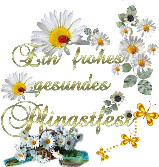 Blumen mit einem Marienkäfer und dem Text „Ein frohes, gesundes Pflanzleben“.