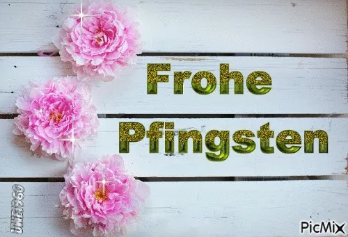 Text "Frohe Pfingsten" auf einer Holzoberfläche mit pinken Blumen.