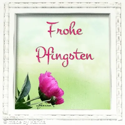 Ein gerahmtes Bild mit der Aufschrift „Frohe Pfingsten“ und einer rosa Blüte.