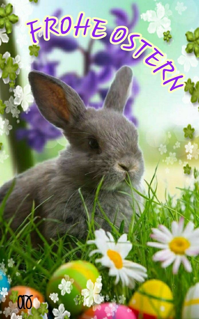 ᐅ frohliche ostern - Ostern GB Pics ᐅ frohliche ostern - Ostern GB Pics