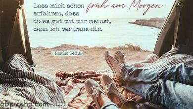 ᐅ frueh am morgen - Guten Morgen GB Pics