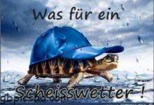 ᐅ funpot scheisswetter jpg von floh - Dienstag GB Pics