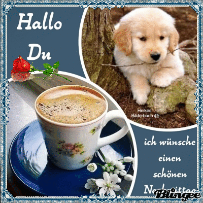 Gb bilder schonen nachmittag 026