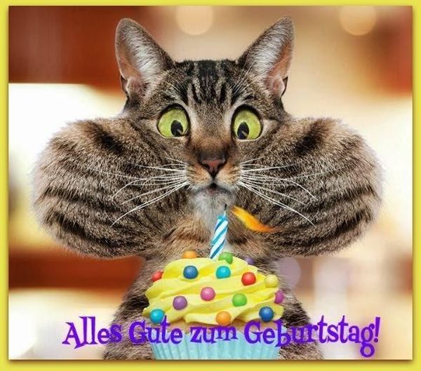 geburtstag bilder lustig