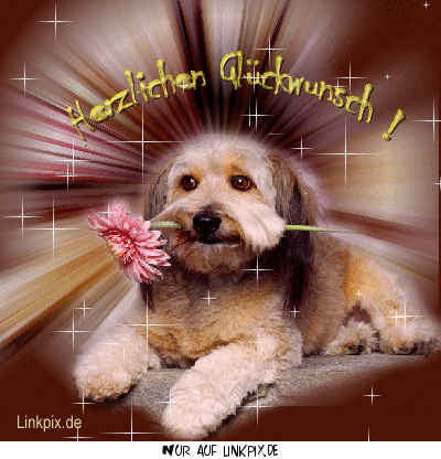 ᐅ geburtstag lustige bilder - Guten Morgen GB Pics geburtstag lustige bilder