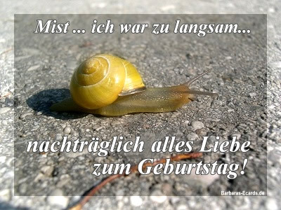 geburtstag vergessen bilder