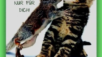 ᐅ geburtstagsbilder lustig - Geburtstag GB Pics