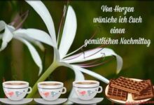 ᐅ Gemütlicher Nachmittag Bilder - GB Pics