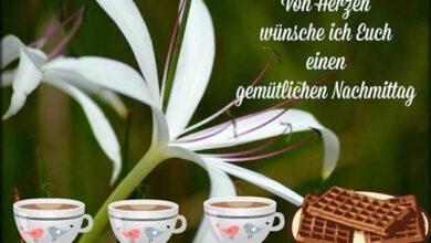 ᐅ Gemütlicher Nachmittag Bilder - Nachmittag GB Pics