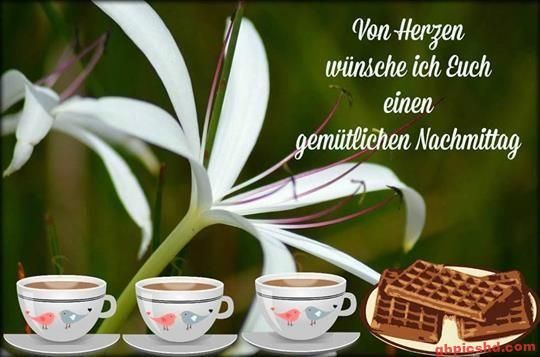 Gemutlicher nachmittag bilder 001