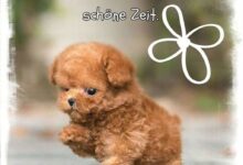 ᐅ grüße zum donnerstag bilder - Gute Nacht GB Pics