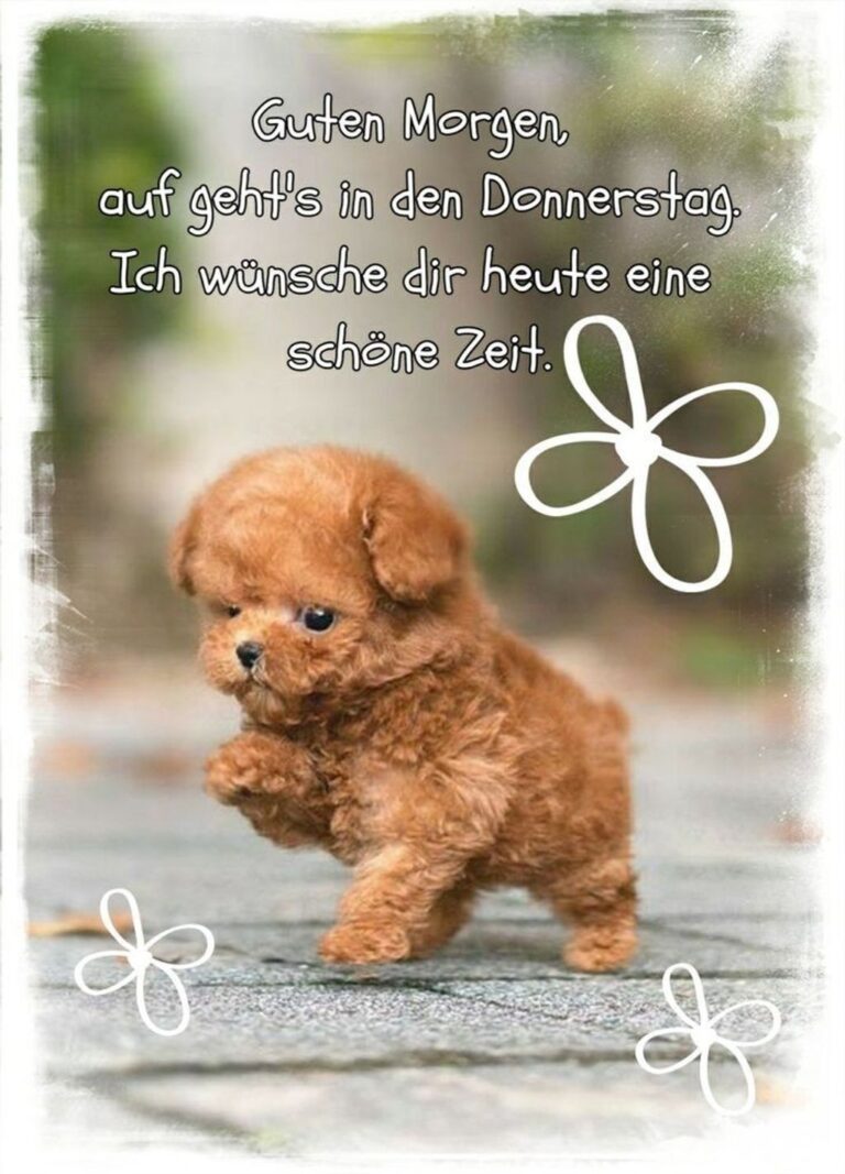 grüße zum donnerstag bilder