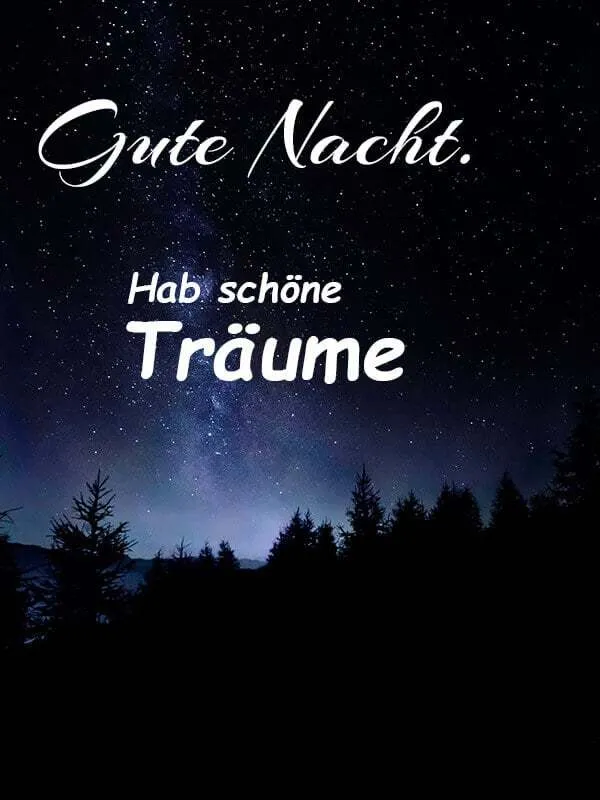 Sternenhimmel mit dem Text "Gute Nacht. Hab schöne Träume" in weißer Schrift.